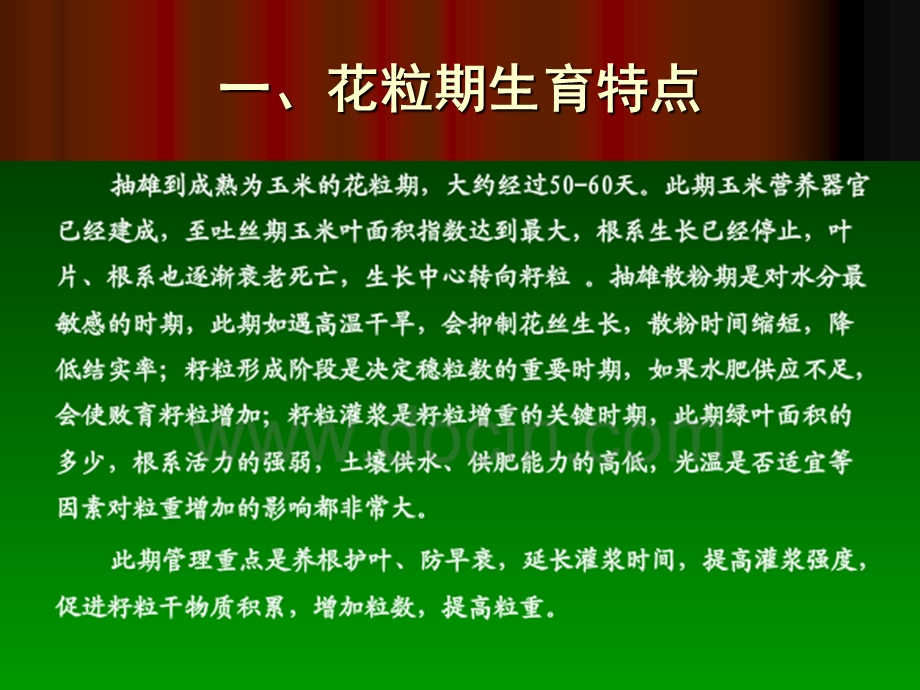 任务五玉米花粒期ppt课件.ppt_第2页