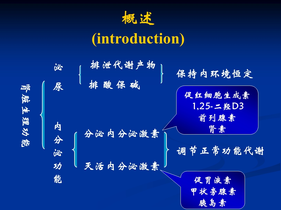 十八章肾功能不全详解课件.ppt_第2页