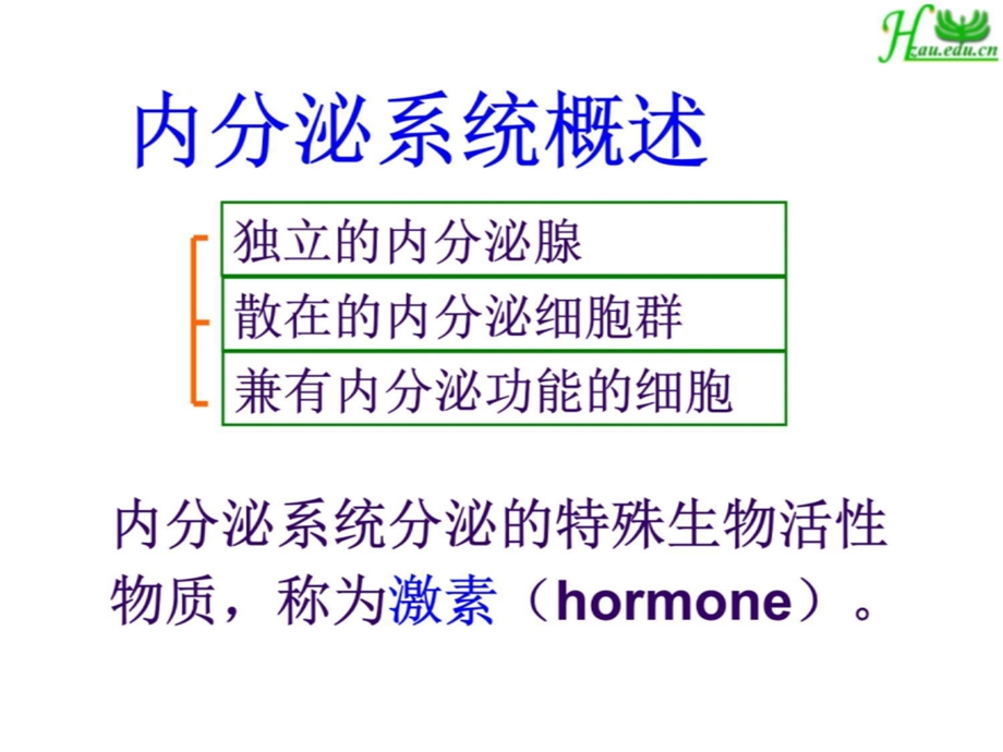 十一章 内分泌系统课件.ppt_第3页