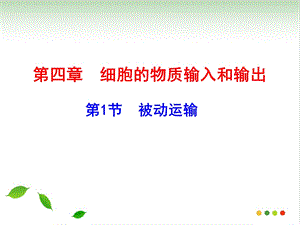 人教版高一生物必修一第四章第一节被动运输授课ppt课件.pptx