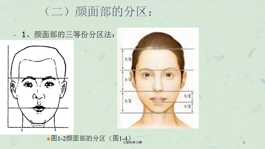 口腔科学口解课件.ppt_第3页