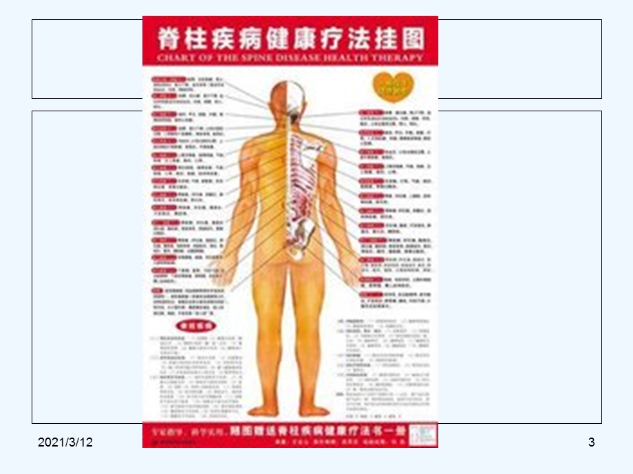 史上脊柱与疾病关系并附歌诀课件.ppt_第3页