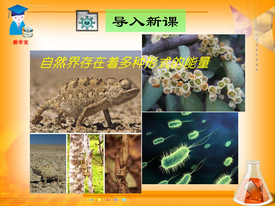 人教版八年级物理能量的转化和守恒ppt课件.ppt_第1页