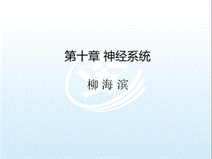 十章神经系统生理学基础课件.ppt