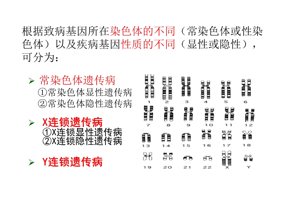 单基因遗传病课件.pptx_第3页