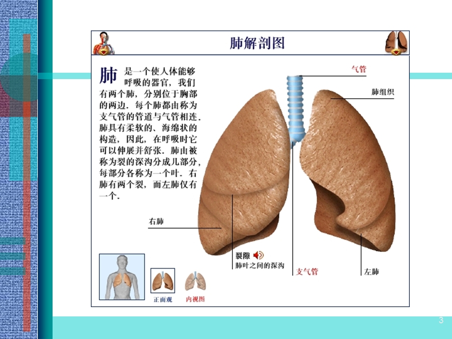 呼吸功能衰竭教学课件.ppt_第3页