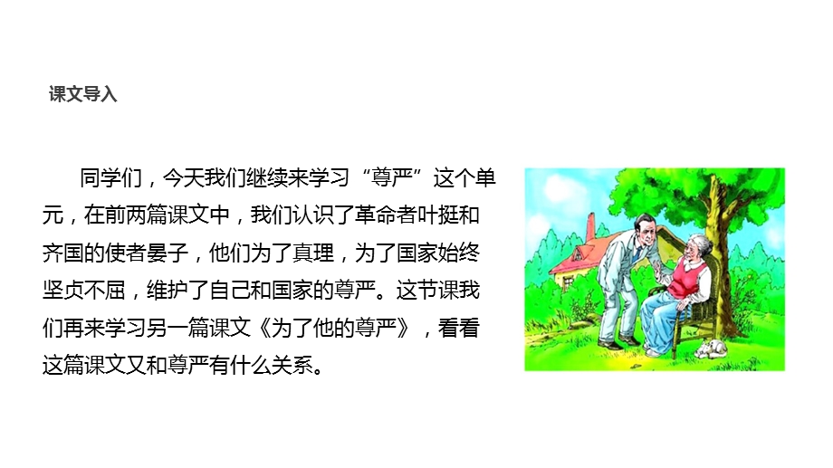 北师大版小学语文五年级下册课件：《为了他的尊严》课件.ppt_第3页