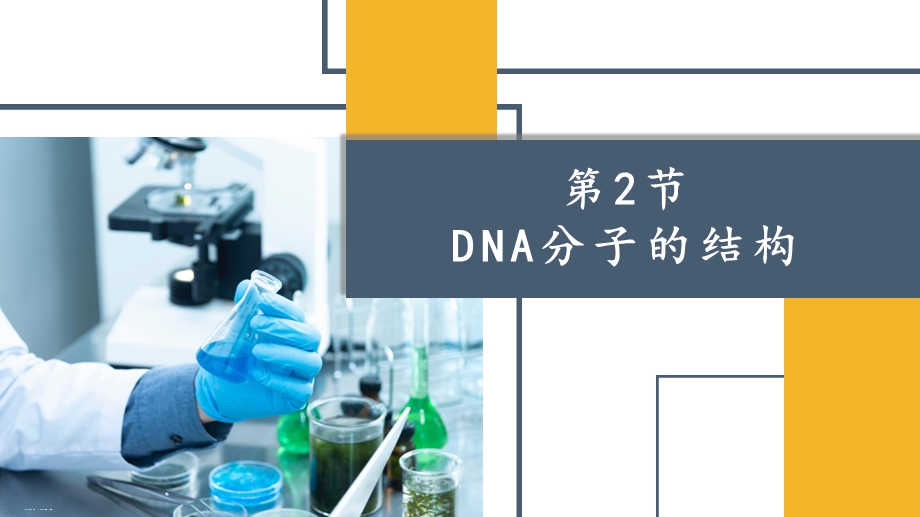 人教版新教材《DNA的结构》ppt课件.pptx_第1页