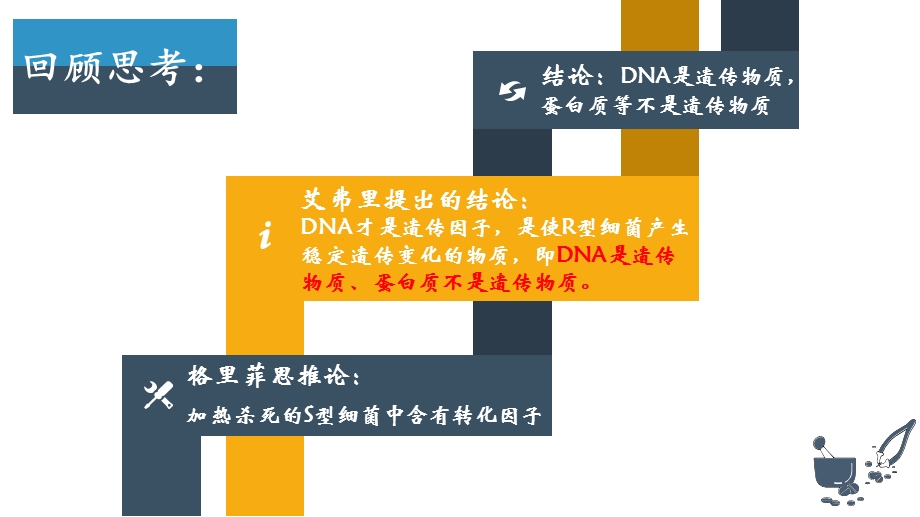 人教版新教材《DNA的结构》ppt课件.pptx_第2页