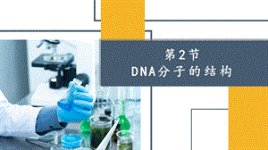 人教版新教材《DNA的结构》ppt课件.pptx