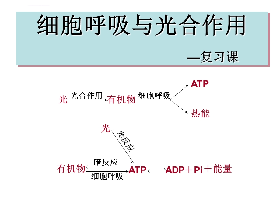 光合作用和呼吸作用复习课ppt课件.ppt_第1页