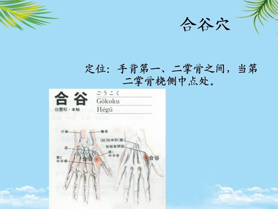 合谷穴的临床应用课件.ppt_第2页