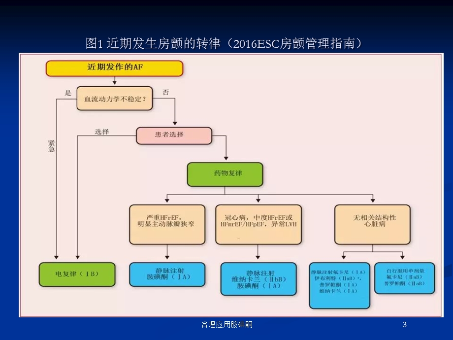 合理应用胺碘酮培训课件.ppt_第3页