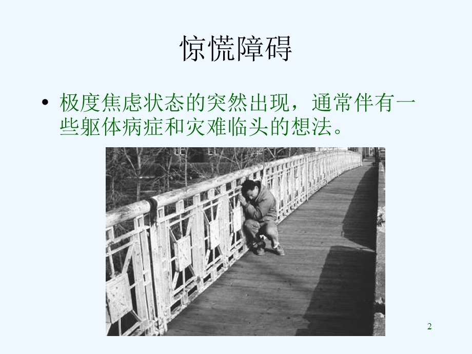 变态心理学第二章惊恐障碍课件.ppt_第2页