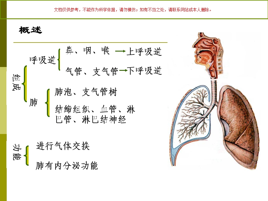 呼吸医学知识专题讲座培训课件.ppt_第1页