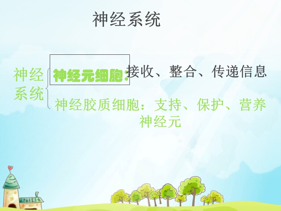 十章神经系统课件.ppt_第3页