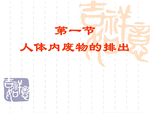 初中七年级（初一）生物人体内废物的排出ppt课件.ppt