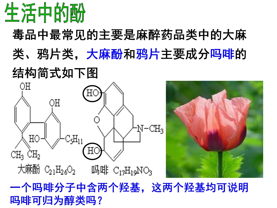 化学选修五酚ppt课件.ppt_第2页