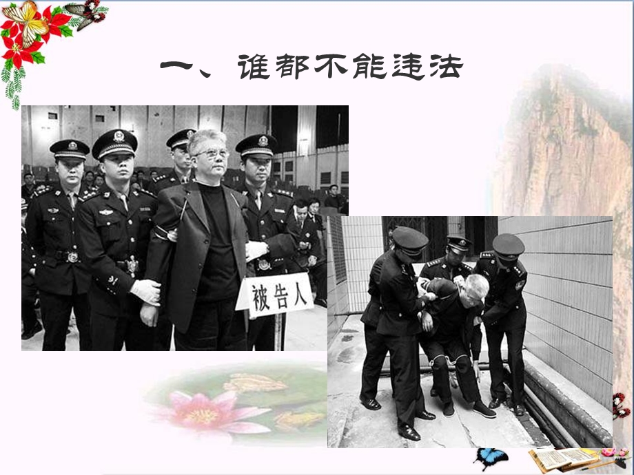 初中政治感受法律的尊严ppt优秀课件.ppt_第2页