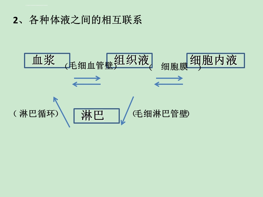 内环境与稳态(复习)ppt课件.ppt_第3页