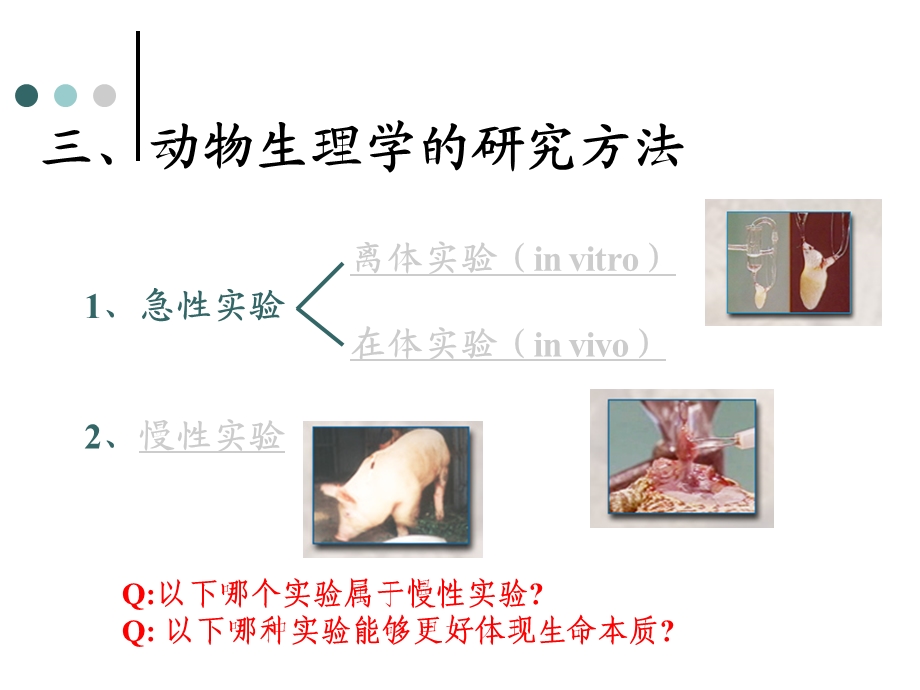 兽医生理学ppt课件.pptx_第3页