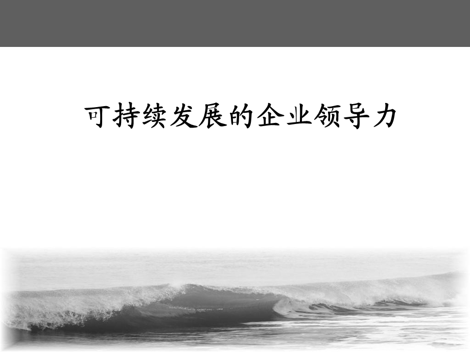 可持续发展的企业领导力ppt课件.ppt_第1页