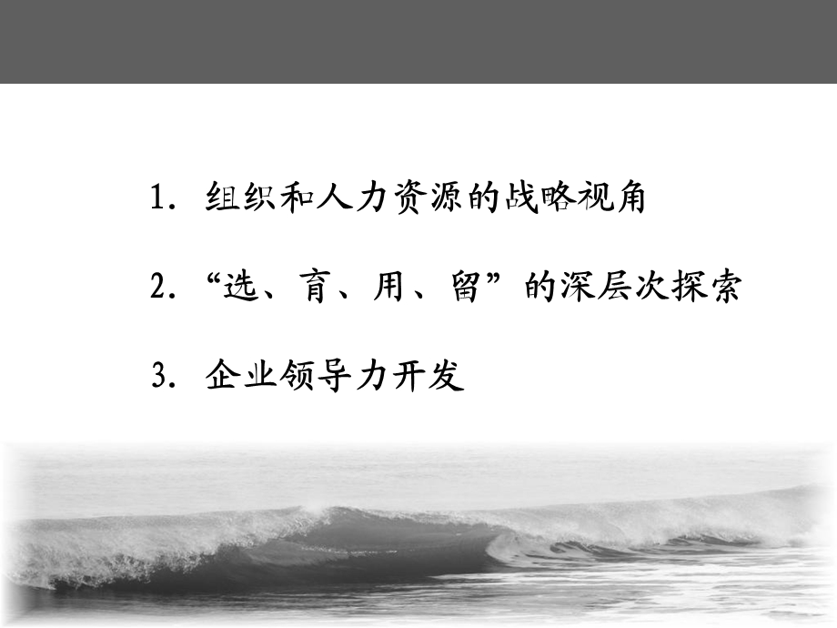 可持续发展的企业领导力ppt课件.ppt_第3页