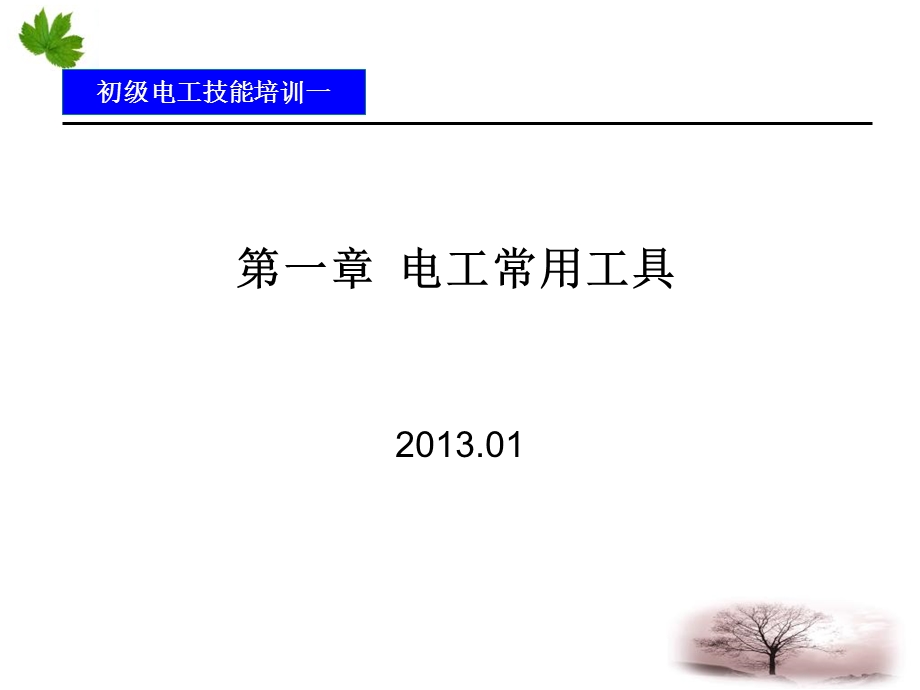 初级电工技能培训一：第一章 电工常用工具ppt课件.ppt_第1页