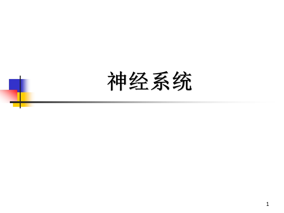 周围神经系统解剖与功能ppt课件.ppt_第1页