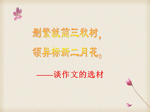 初中作文指导作文选材ppt课件.ppt