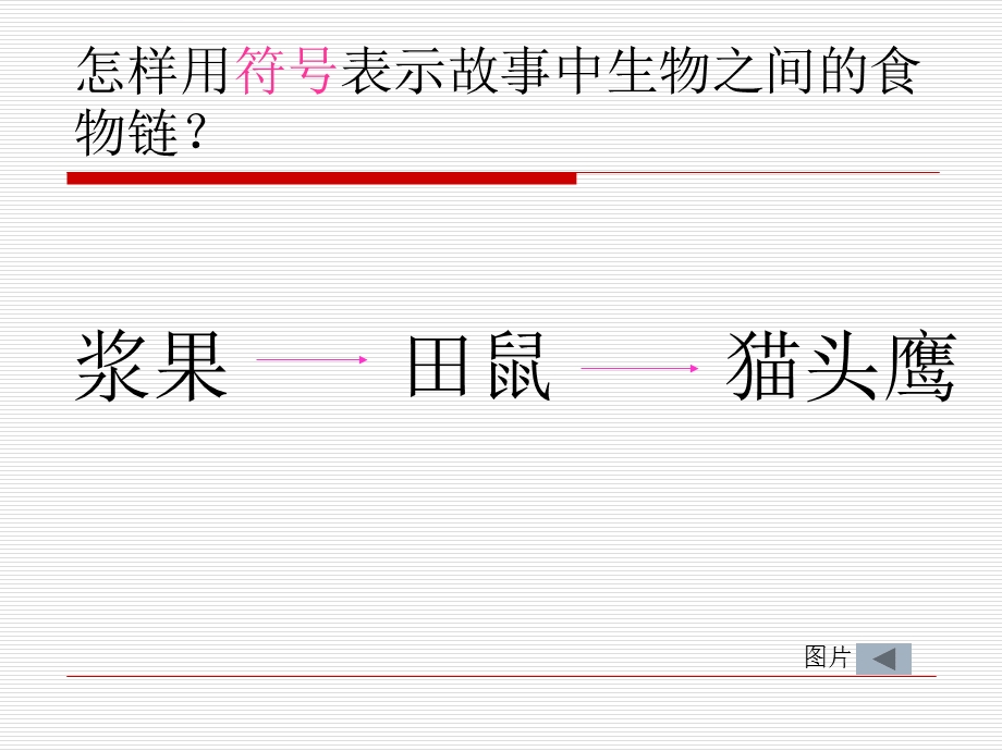 六年级科学下册《有趣的食物链》ppt使用)课件.ppt_第3页