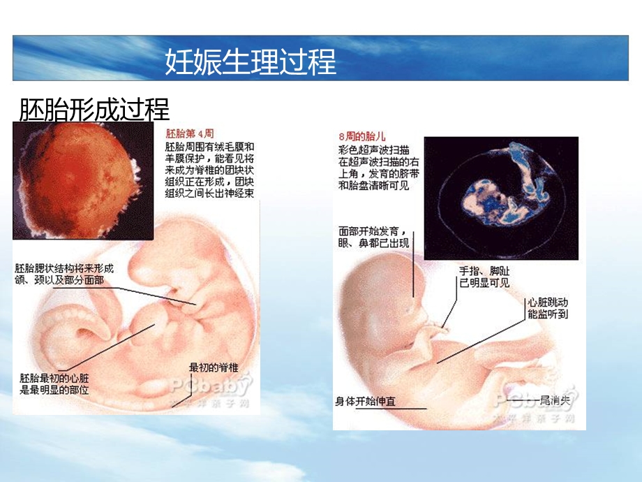 剖宫产与顺产的利与弊ppt课件.ppt_第2页