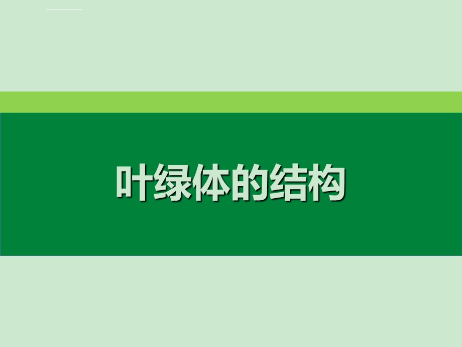 叶绿体中的色素（基础类）ppt课件.ppt_第3页