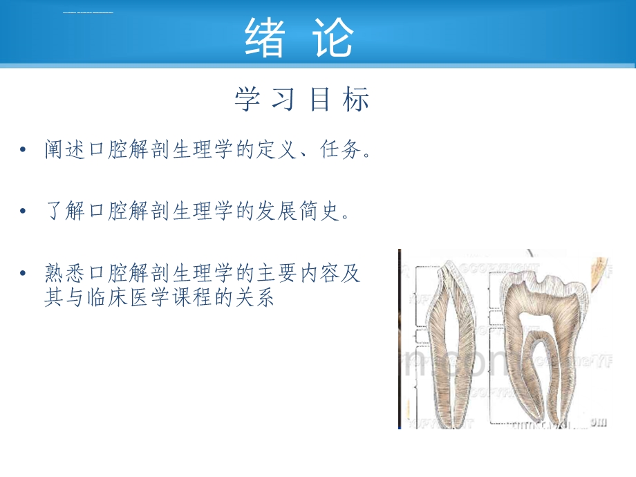 口腔解剖生理学第一章ppt课件.ppt_第2页