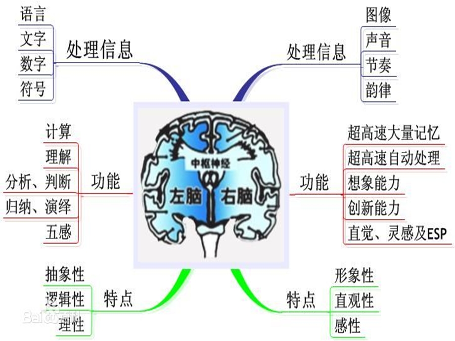 右脑开发试听课ppt课件.ppt_第3页