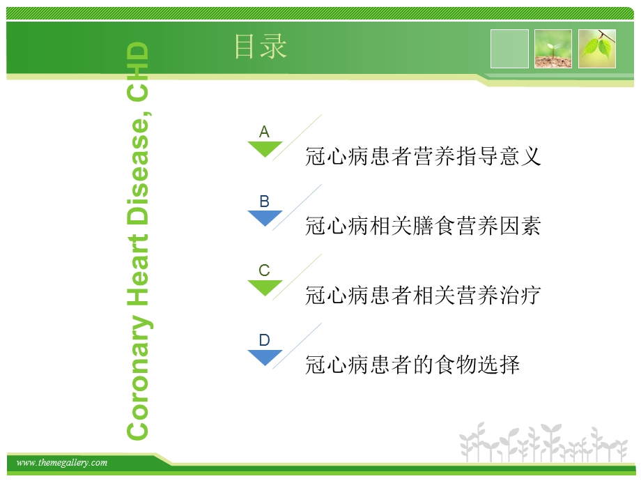 冠心病患者的饮食指导ppt课件.pptx_第2页