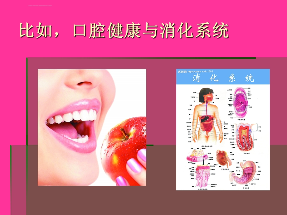 口腔健康与全身健康ppt课件.ppt_第3页