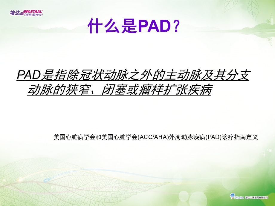 周围血管疾病(PAD)ppt课件.pptx_第2页