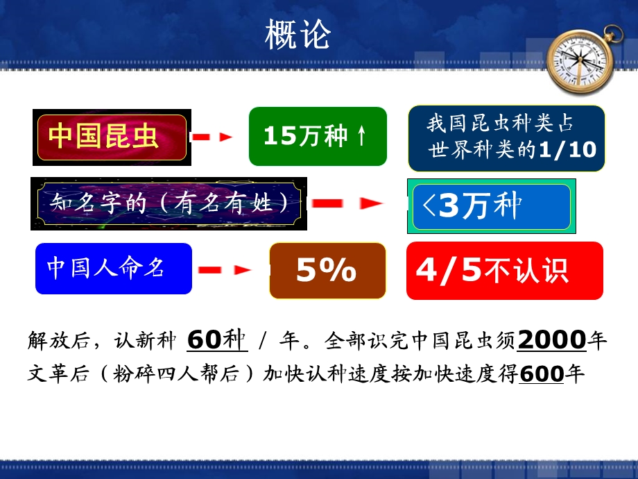 医学昆虫概论ppt课件.ppt_第3页