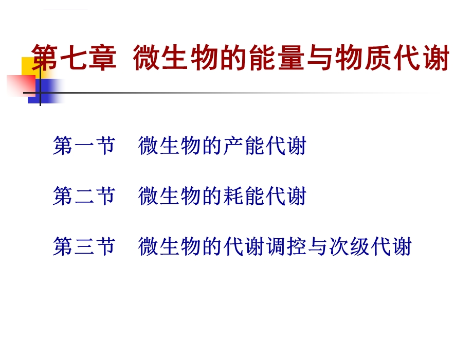 发酵食品微生物学ppt课件.ppt_第1页