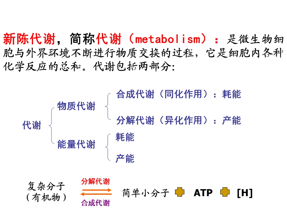 发酵食品微生物学ppt课件.ppt_第2页