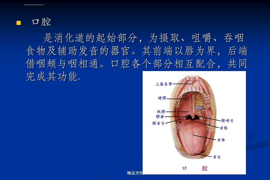 口腔分科及常见疾病ppt课件.ppt_第2页