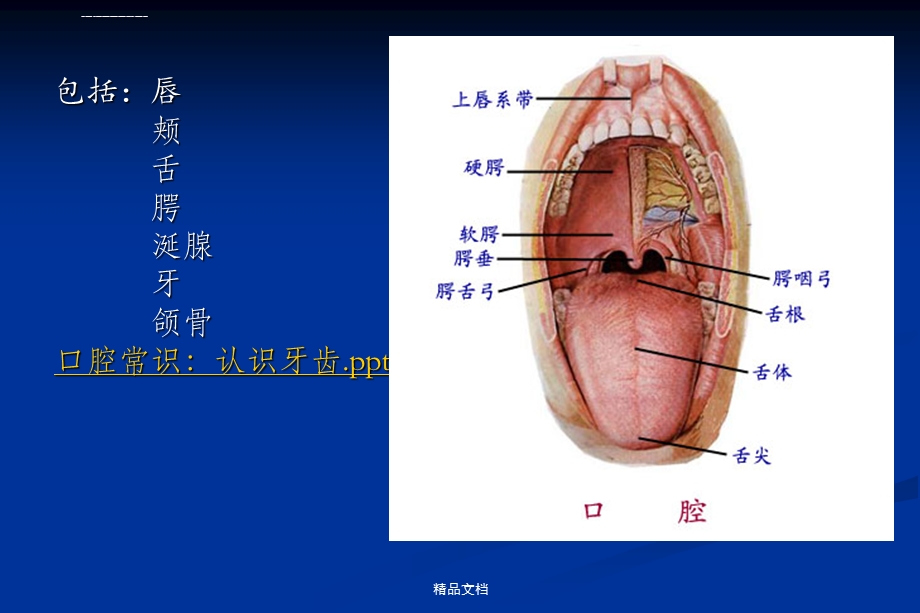 口腔分科及常见疾病ppt课件.ppt_第3页