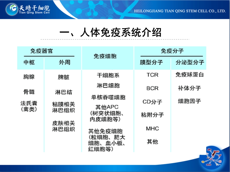 免疫储存项目xijdeppt课件.ppt_第3页