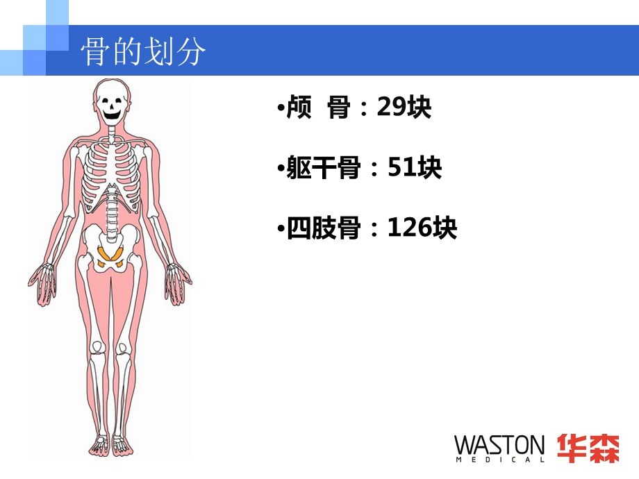 华森普通板操作ppt课件.ppt_第3页