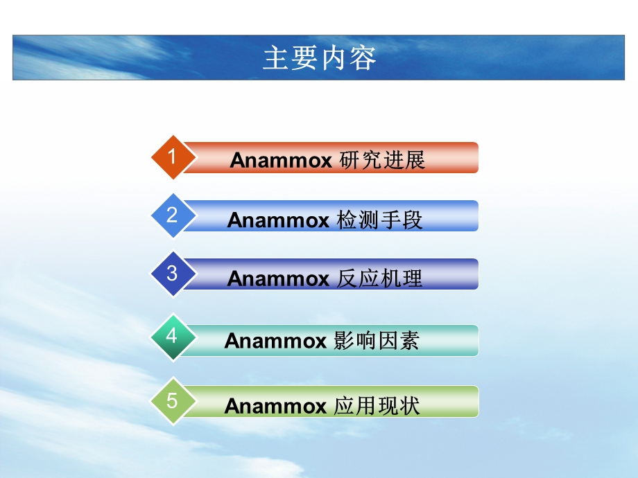 厌氧氨氧化ppt课件.ppt_第2页