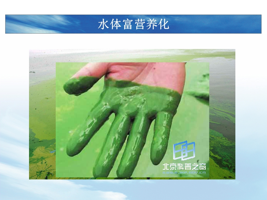 厌氧氨氧化ppt课件.ppt_第3页