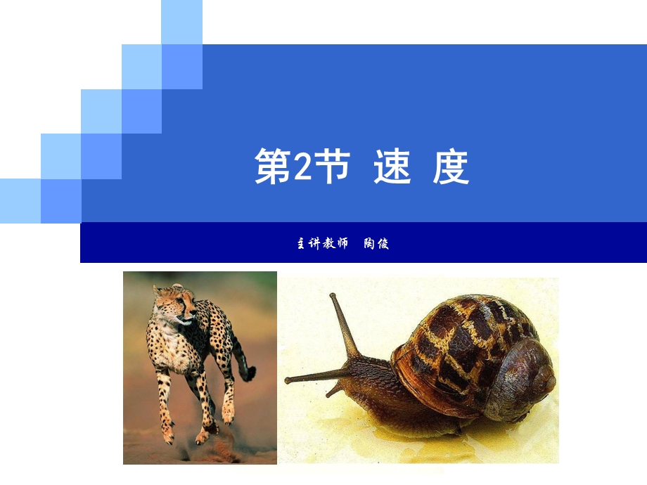 初中物理《速度》ppt课件.ppt_第1页