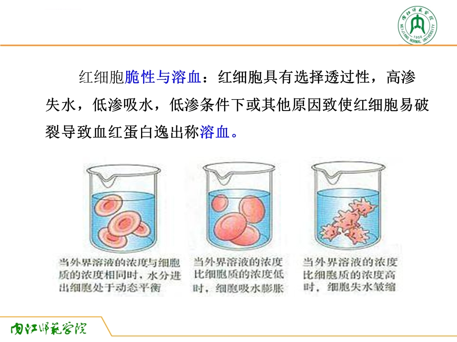 动物生理学实验二鱼类采血技术与血细胞生理ppt课件.ppt_第3页