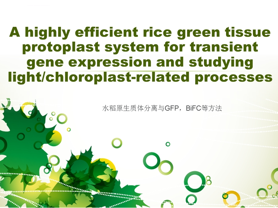 原生质体分离试验方法ppt课件.ppt_第1页